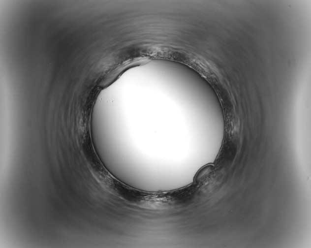 X0000086960607200704301239