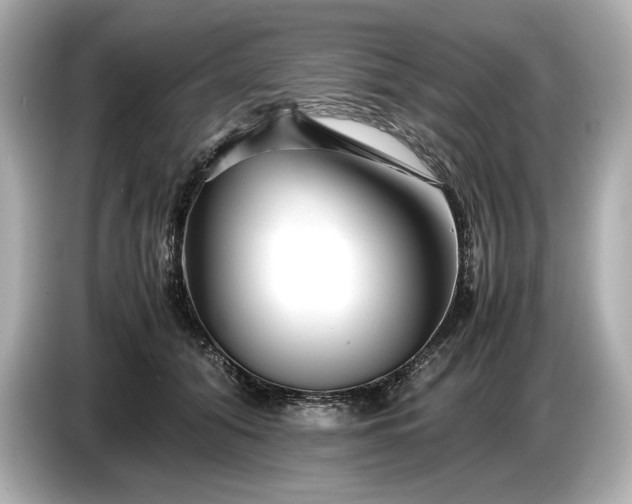 X0000086960608200704301239