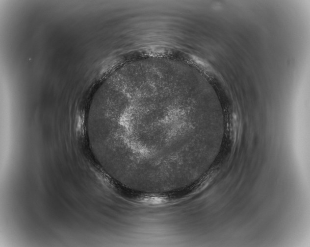 X0000086960610200704301239