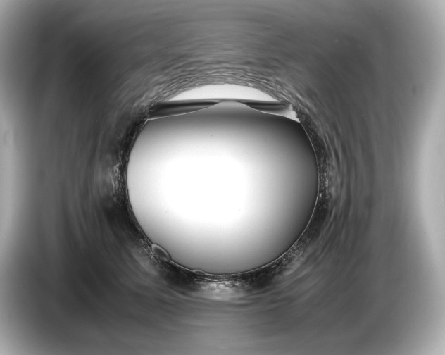 X0000086960611200704301239