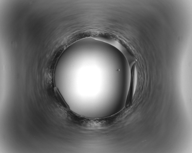 X0000086960613200704301239