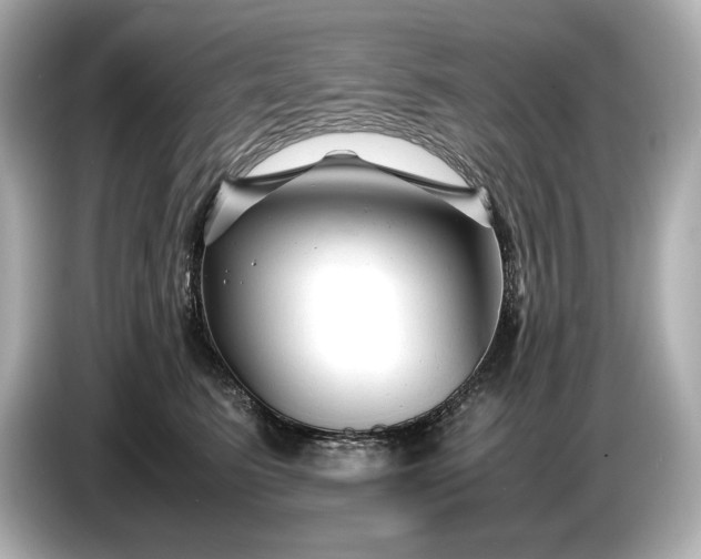 X0000086960615200704301239