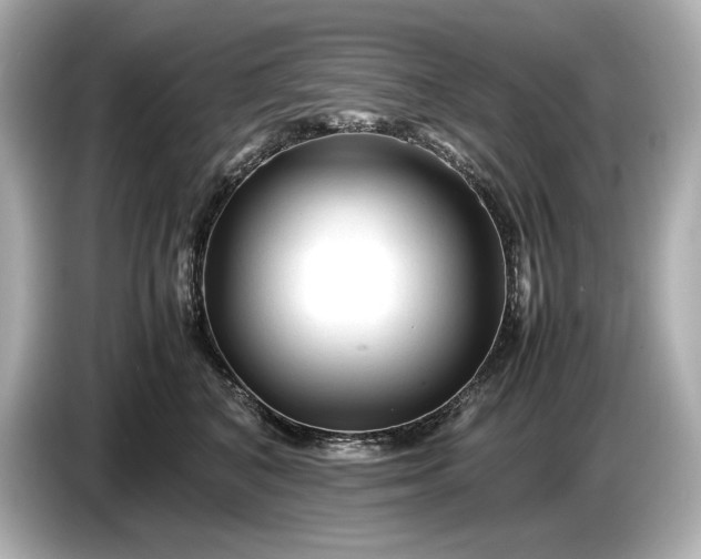 X0000086960616200704301239