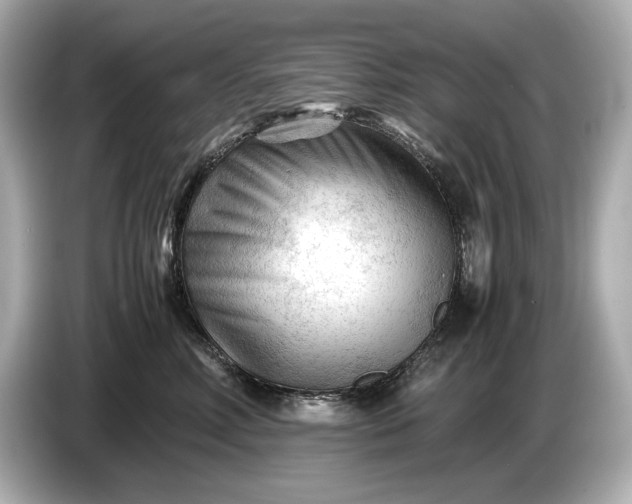 X0000086960618200704301239