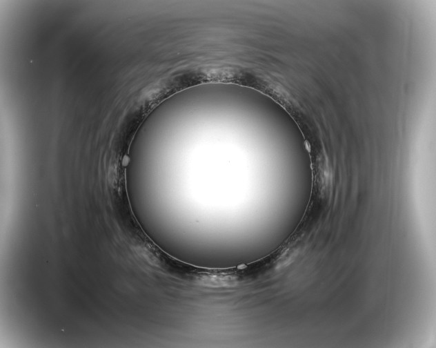 X0000086960619200704301239