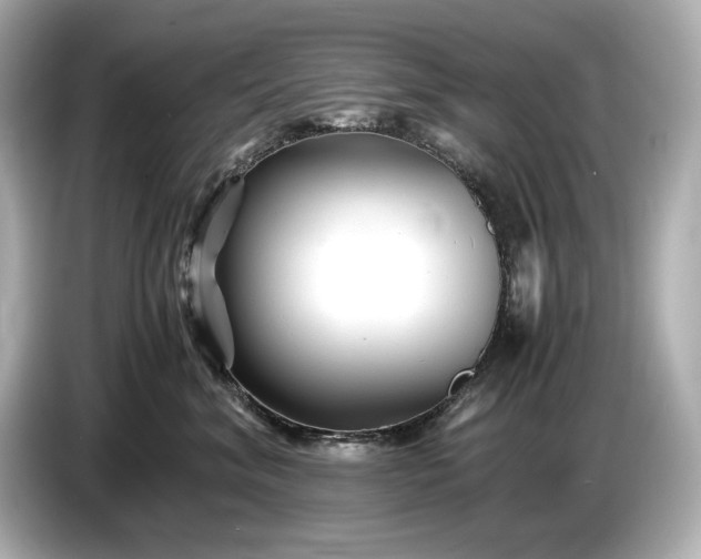 X0000086960620200704301239