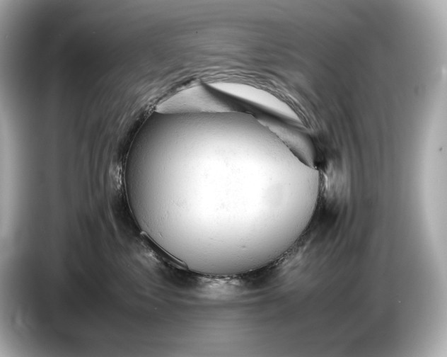 X0000086960621200704301239