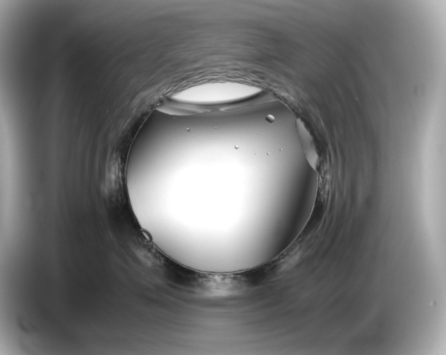 X0000086960623200704301239