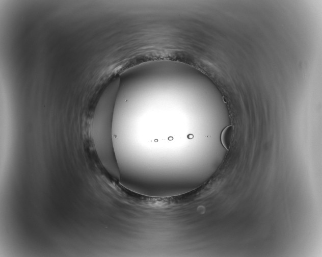 X0000086960624200704301239
