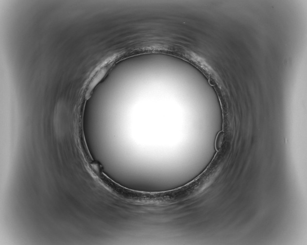 X0000086960625200704301238