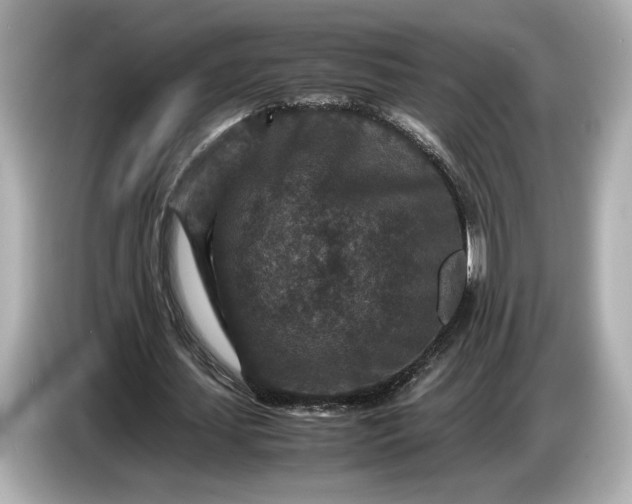 X0000086960627200704301238