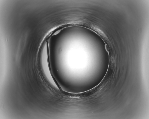 X0000086960628200704301238