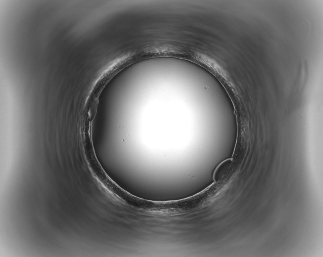 X0000086960629200704301238