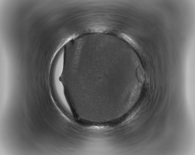 X0000086960630200704301238