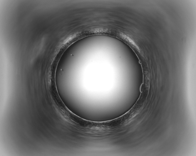 X0000086960631200704301238