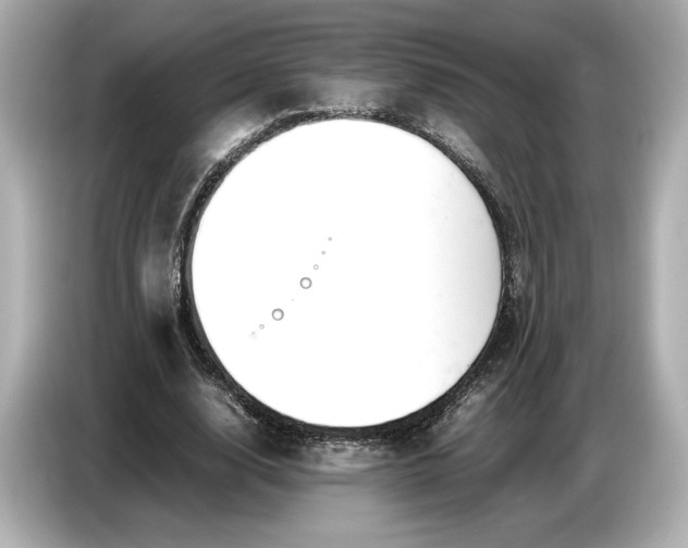 X0000086960632200704301238