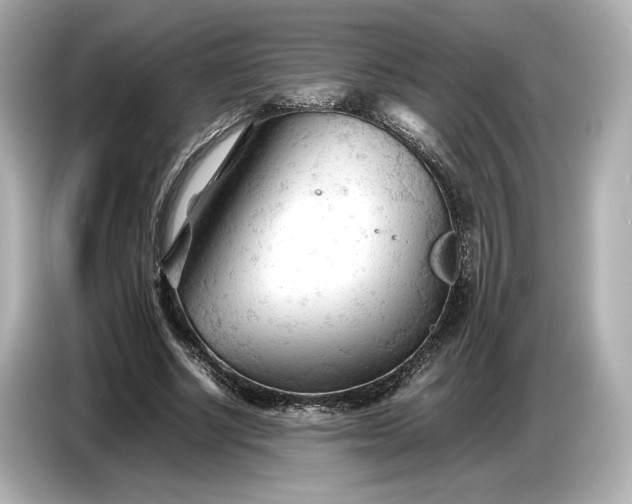 X0000086960634200704301238