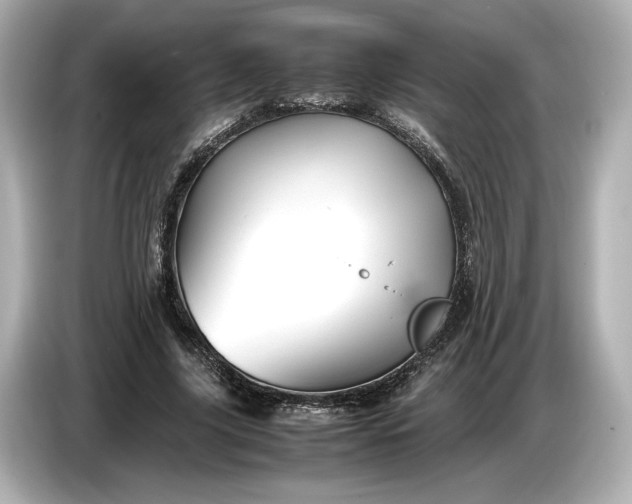 X0000086960635200704301238