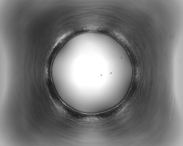 X0000086960636200704301238
