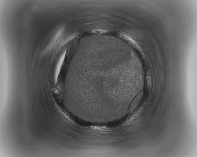 X0000086960637200704301238