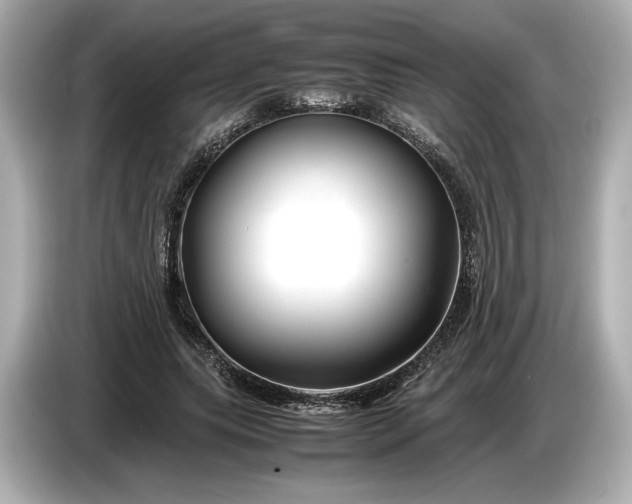 X0000086960639200704301238