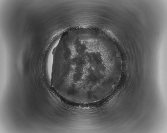 X0000086960640200704301238