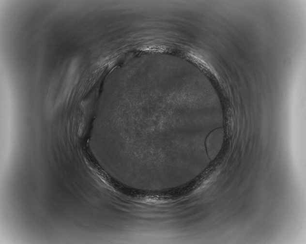 X0000086960641200704301238
