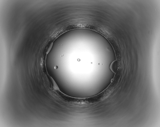 X0000086960646200704301238