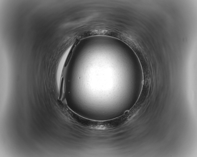 X0000086960647200704301238