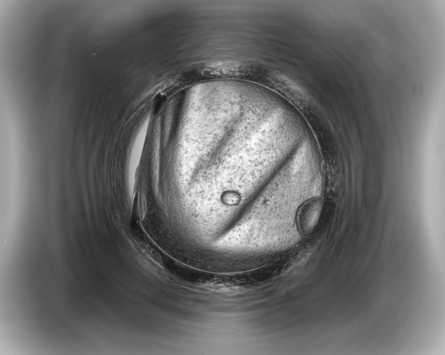 X0000086960648200704301238