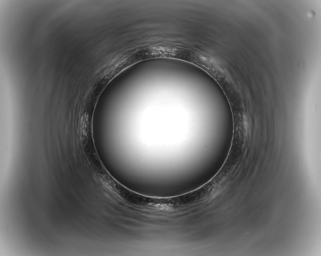 X0000086960649200704301238