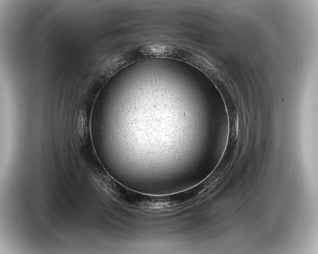 X0000086960651200704301238