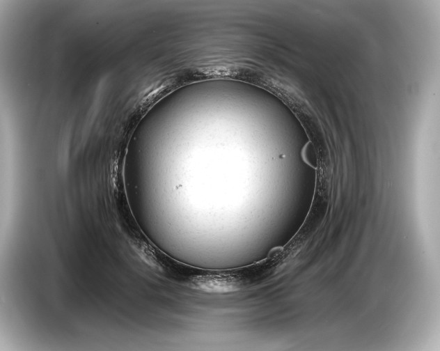 X0000086960652200704301238