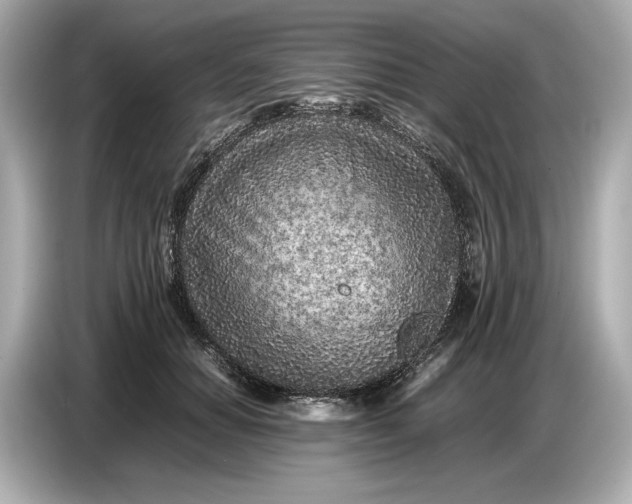X0000086960654200704301238