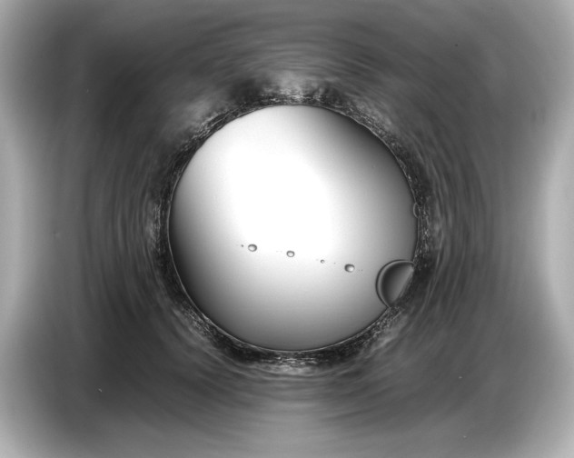 X0000086960656200704301238
