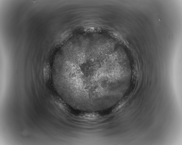 X0000086960659200704301238