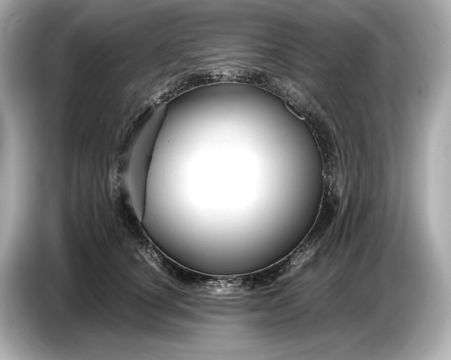 X0000086960660200704301238