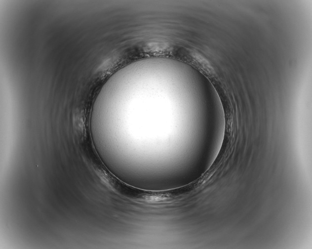X0000086960662200704301239