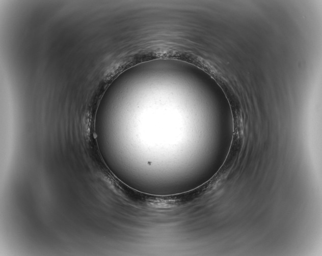 X0000086960664200704301239