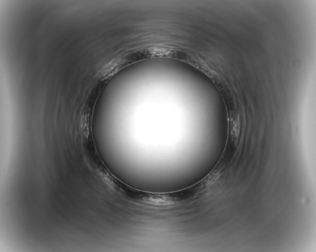 X0000086960666200704301239