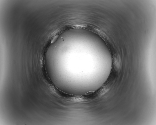 X0000086960668200704301239