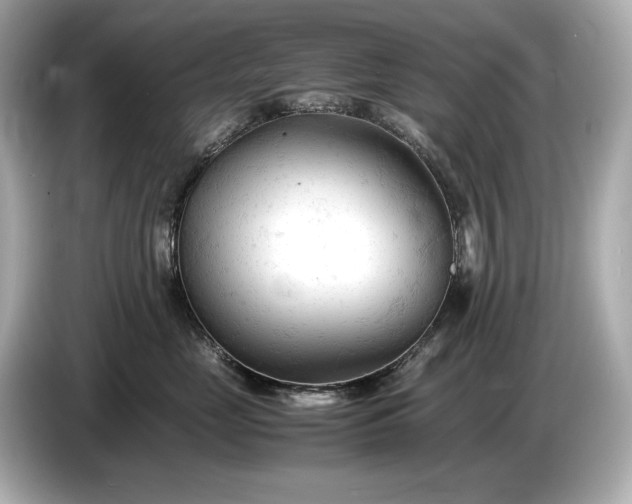 X0000086960669200704301239