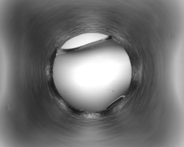 X0000086960670200704301239