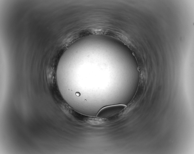 X0000086960671200704301239