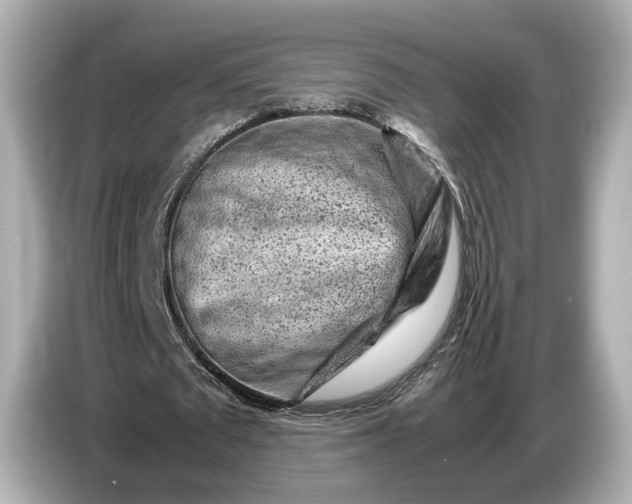 X0000086960673200704301238