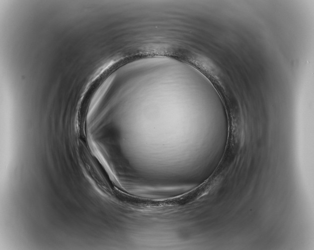 X0000086960674200704301238