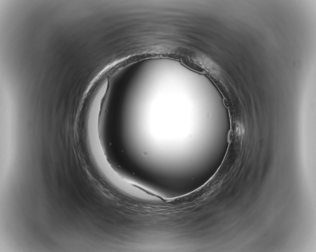 X0000086960676200704301238