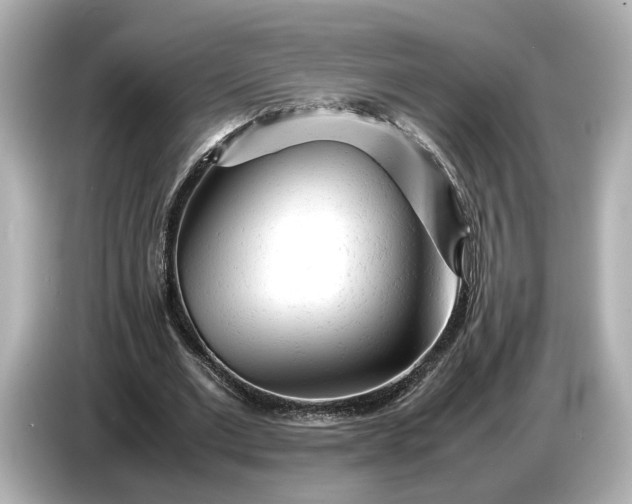 X0000086960677200704301238
