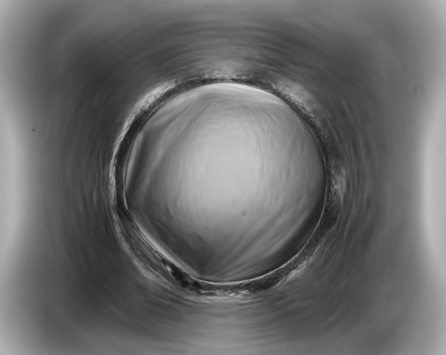 X0000086960678200704301238