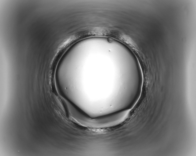 X0000086960679200704301238